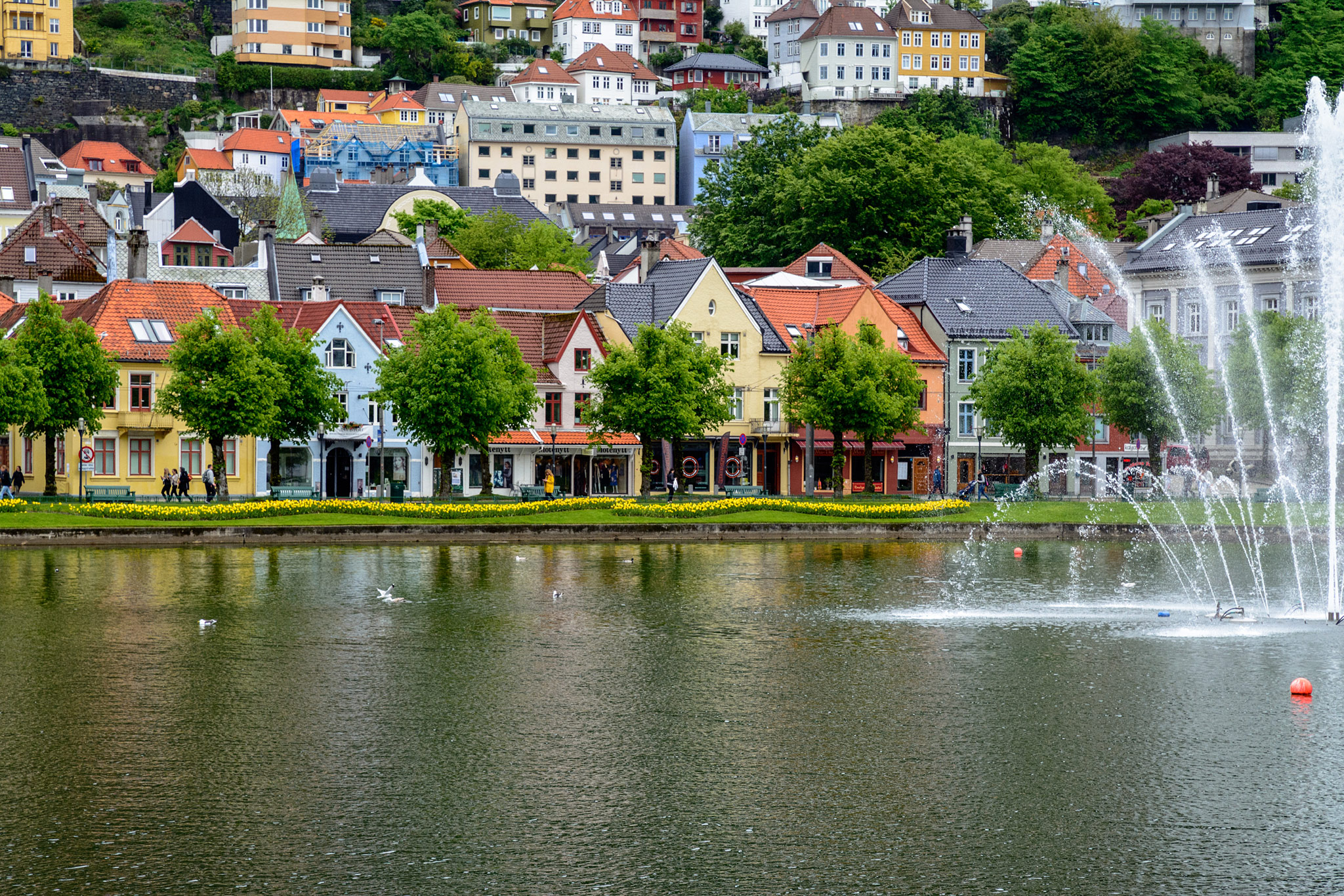 Bergen